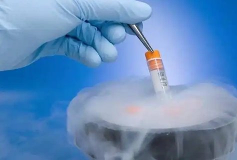 供卵宝宝几个月可以吃米糊,营养与成长的智慧选择 供卵宝宝几个月可以吃米糊,营养与成长的智慧选择